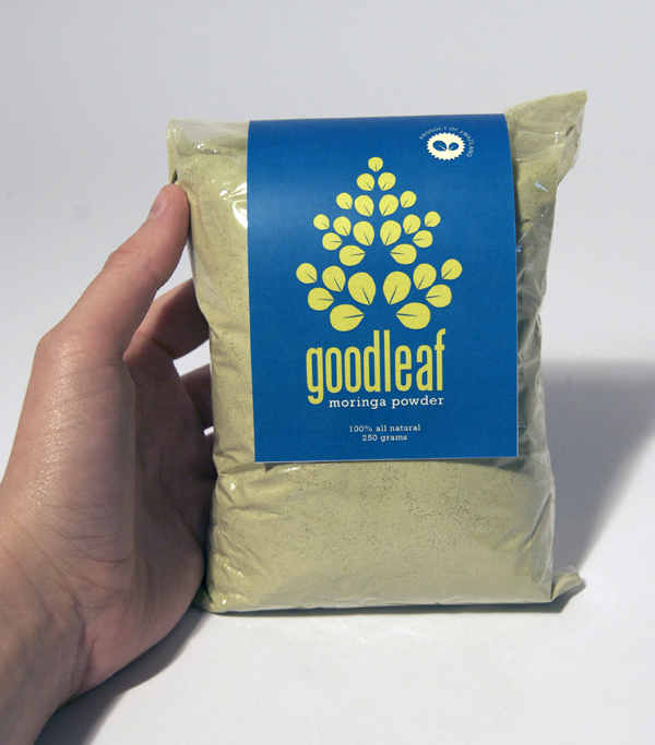 moringa finalphotofront